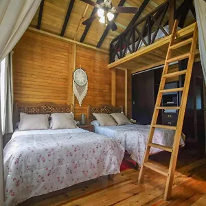 Villa Alicat, Tulum